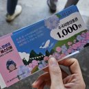 GS25 매암현대점 | 울산 여름 꽃축제 장생포 수국 페스티벌 (6월 중순 수국 상태)
