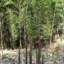 비바체 하동호 리조트 이미지