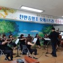 천안중앙초등학교 이미지