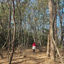 한솔자원개발㈜ | 화양면 망끝에서 만난 행복