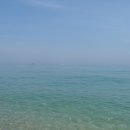 바다와 솔향기 이미지