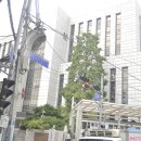 동아대학교 법학전문대학원 | 2025년 9월 6일 방문한 동아대학교 부민캠퍼스 법학전문대학원/법과대학 ((구)부산고등법원청사)