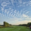 아리랑 아일랜드 | [방콕/태국] '25년 아티타야cc 후기 1일차-(2) (아리랑 코스 플레이 후기)