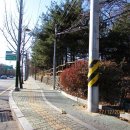 우면산6-12 이미지