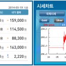 골드쉘화정