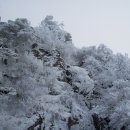 금강대학교 이미지