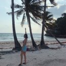 보라가든 이미지