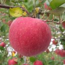 만고강산 이미지