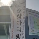 천년의 기다림 세계의 어울림2017년 강릉 단오제 탐방 후기