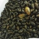 만복건강원 이미지