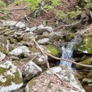 1292 | 오지산행후기(1292차) 봄나물 산행 2025.05.05(월)