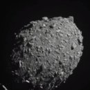 디디모스 이미지