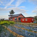 오드사이즈페이퍼 | 제주도 풀빌라 프라이빗한 독채펜션 단체 숙소로 좋았던 곳 오드사이즈페이퍼