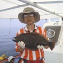 광어한마리 이미지