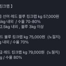 보링상회