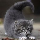 H GYM(에이치 짐) 이미지