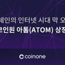 팀코스모스