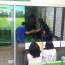 동해실내골프연습장 이미지