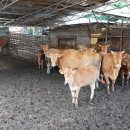 소선농장 이미지