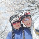 양평벚꽃하우스 이미지