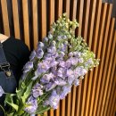 대명천로 이미지