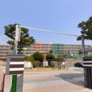 서울시흥초등학교 이미지