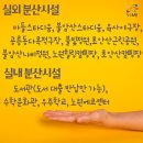 에코실외구장 이미지