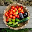 클라우드짐 프라임 이미지