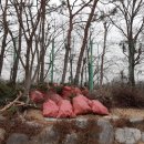 대구매동초등학교 이미지