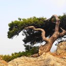 팔당역 예봉산 등산로 입구[팔당-3] 이미지