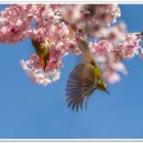 배화학교 이미지