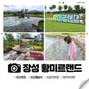 구구족 배달 전남장성점 | 2026년 장성 황미르랜드 놀이터 & 물놀이장 다녀온 후기