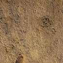 남양 열린운동장 이미지