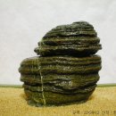 고탄교아래 이미지