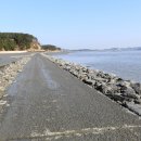 안산-대부-대부-4 이미지