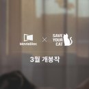 세이브유어캣
