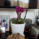 석란정펜션 이미지