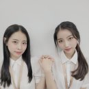 원세무회계 이미지