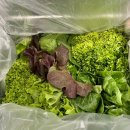 정진농장 이미지