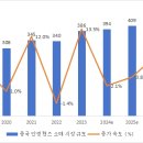 스마트안경