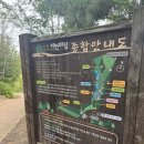 연희자연마당 공원 | 인천 청라 공원 “연희자연마당” 강아지 산책로 추천