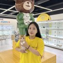 인천고양이분양 테디럽 이미지