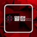 주식회사 웰랩 네이버블로그