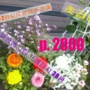 한화365공인중개사사무소 이미지