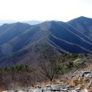 남해-310 이미지