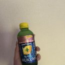 비전동 소로 3-88 | [오키나와 3박4일 여행 3일차] 배타고 민나섬 수영...하우스 88 스테이크 내돈내산 후기, 추라우미...