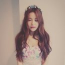퓨 Daum카페