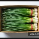 태양식자재유통 이미지