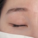 자연스러운눈썹결입니다 | 대구 브로우리프트펌 추천 카모뷰티 자연스러운 눈썹결 정리 후기 ⭐
