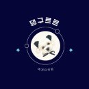댕구르르 유치원 네이버블로그